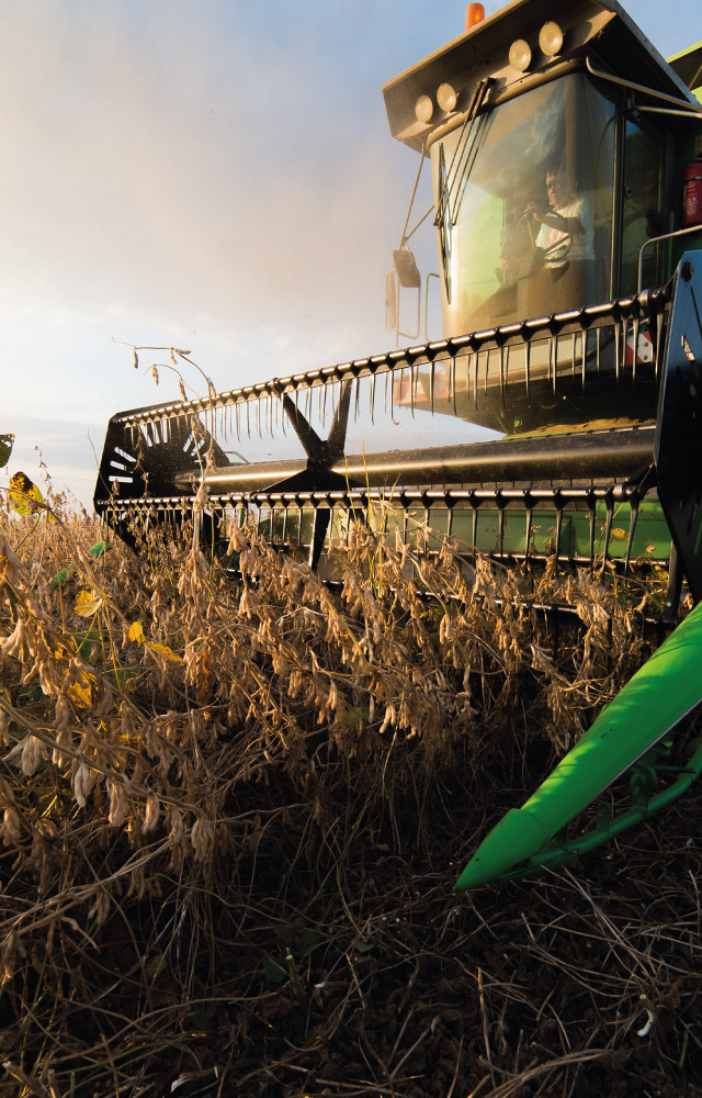 Secteur agriculture
